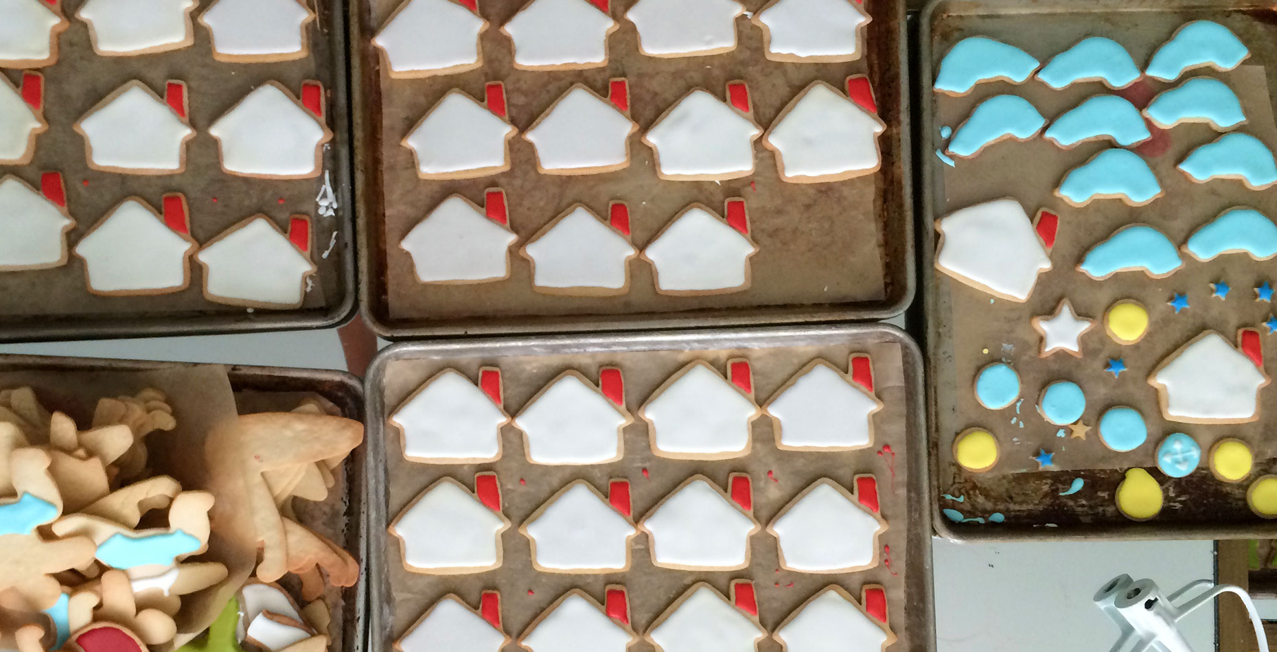 IMG_3421_cookies_cropped_for_web